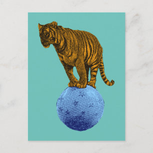 Postal Tigre de circo antiguo