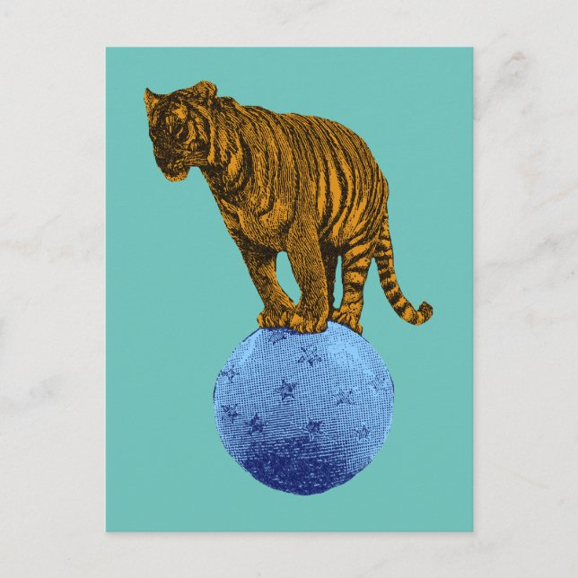 Postal Tigre de circo antiguo (Anverso)