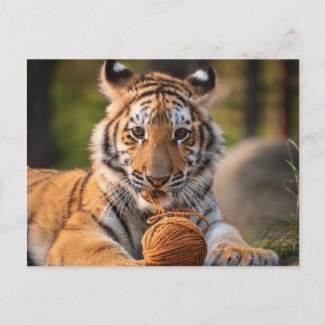 Postal Tigre de IA con yarn (Anverso)