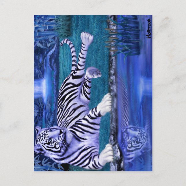 Postal TIGRE DE JUNGla.JPEG (Anverso)