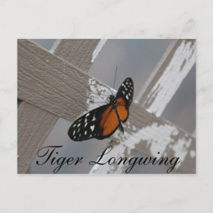Postal Tigre de mariposa con longitud # 1
