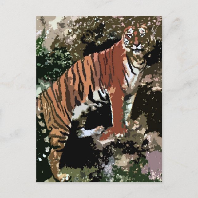 Postal Tigre de montaña (Anverso)
