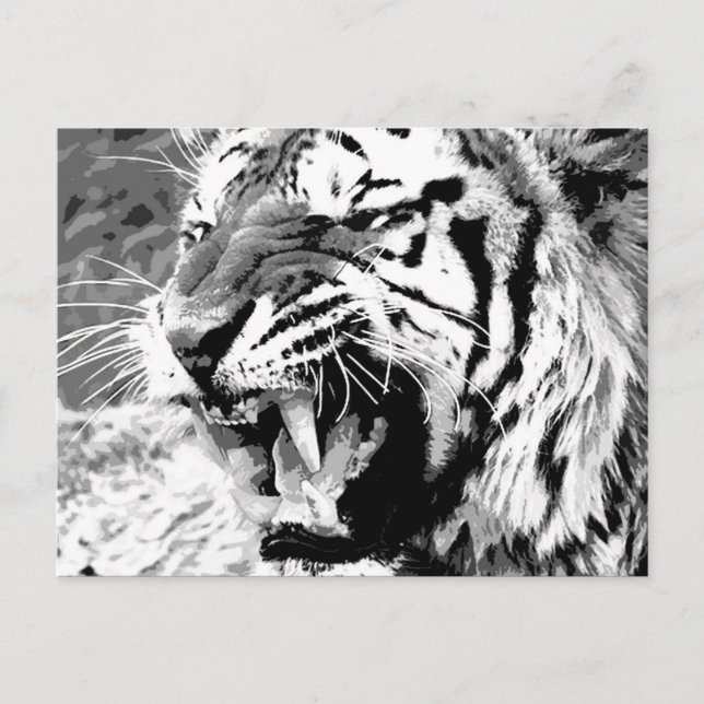 Postal Tigre de Sumatra (Anverso)