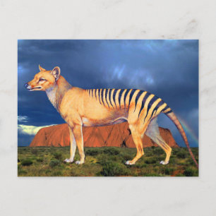Postal Tigre de Tasmania