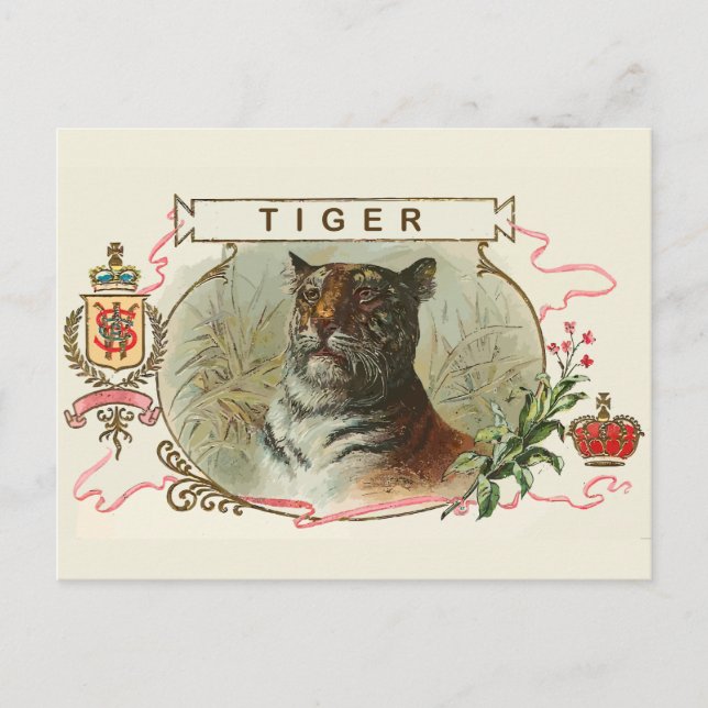Postal Tigre de vintage (Anverso)
