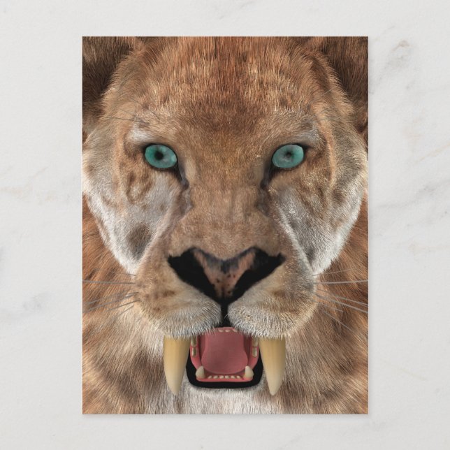 Postal Tigre Dientes de Sable o Smilodon (Anverso)