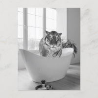 Tigre en bañera Arte de baño en blanco y negro