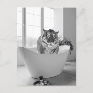 Postal Tigre en bañera Arte de baño en blanco y negro