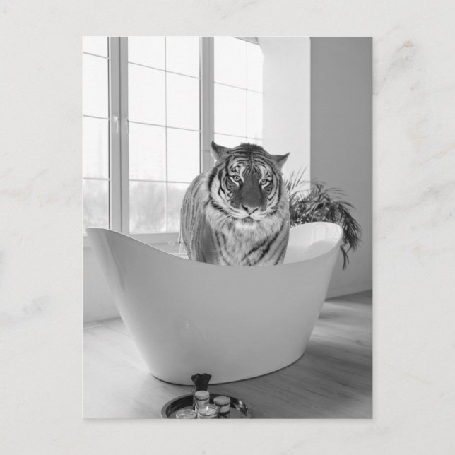 Postal Tigre en bañera Arte de baño en blanco y negro (Anverso)
