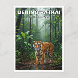 Postal Tigre en Dehing Patkai National Park India Travel 