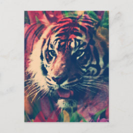 Postal Tigre en el Campo Floral