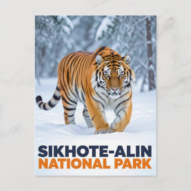 Postal Tigre en el Parque Nacional Sikhote Alin Rusia (Anverso)