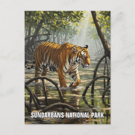 Postal Tigre en el Parque Nacional Sundarbans India