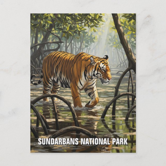 Postal Tigre en el Parque Nacional Sundarbans India (Anverso)