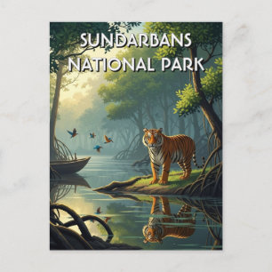 Postal Tigre en el Parque Nacional Sundarbans India