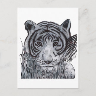 Postal Tigre en la hierba