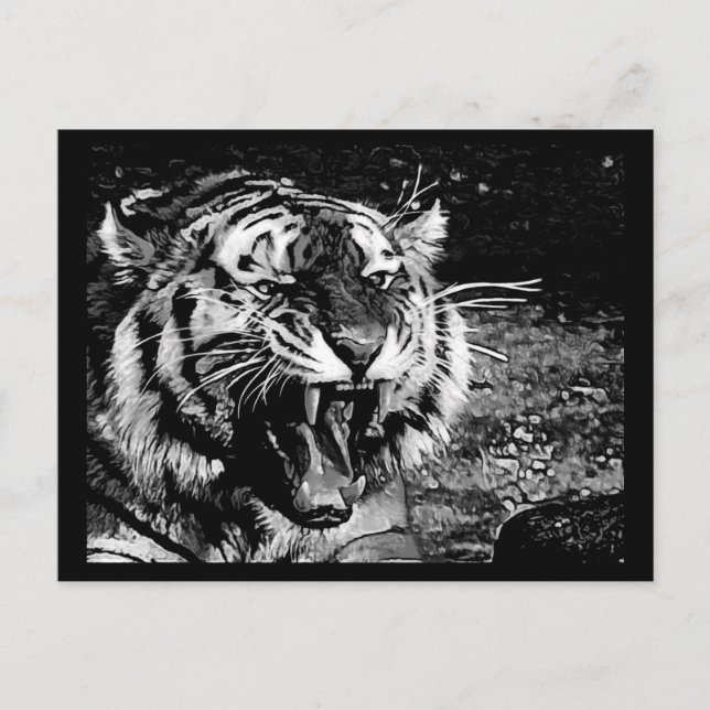 POSTAL TIGRE FEROZ NEGRO BLANCO ANIMALES SALVAJES RUGIEND (Anverso)