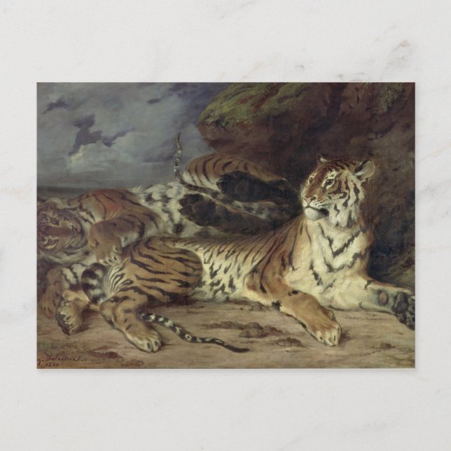 Postal Tigre joven jugando con su madre, 1830 (petróleo e (Anverso)