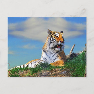 Postal Tigre Nobel