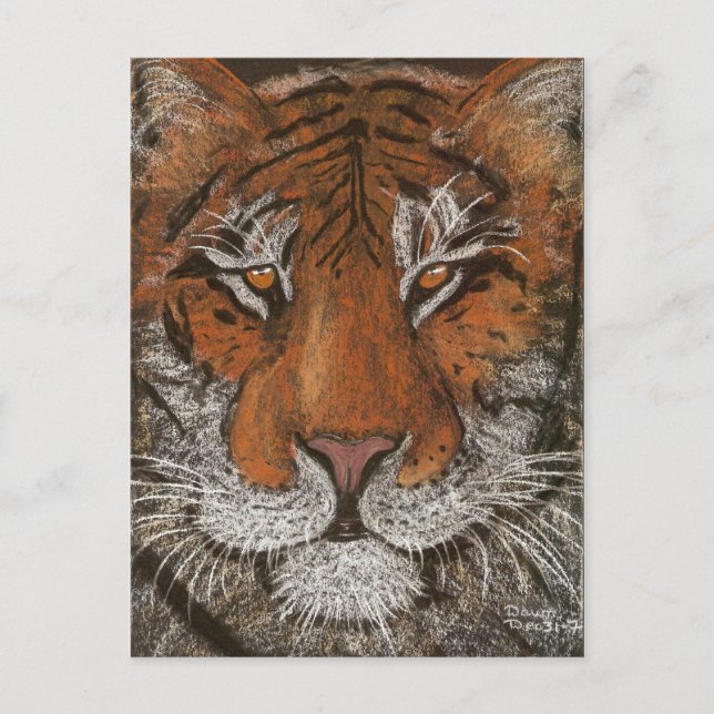 Postal tigre nocturno (Anverso)