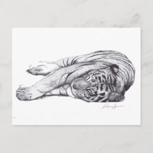 Postal Tigre - Pluma y tinta