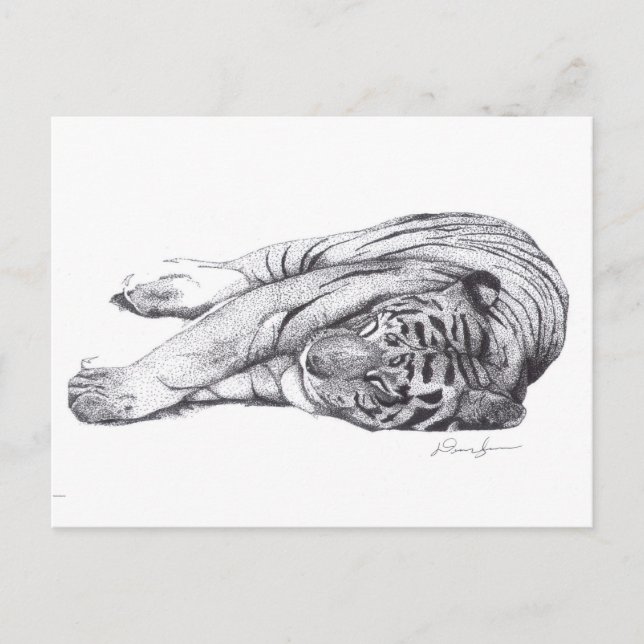 Postal Tigre - Pluma y tinta (Anverso)