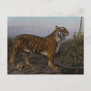 Postal Tigre real de Geza Vastagh