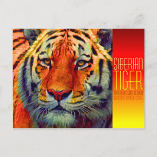 Postal Tigre siberiano [postal]