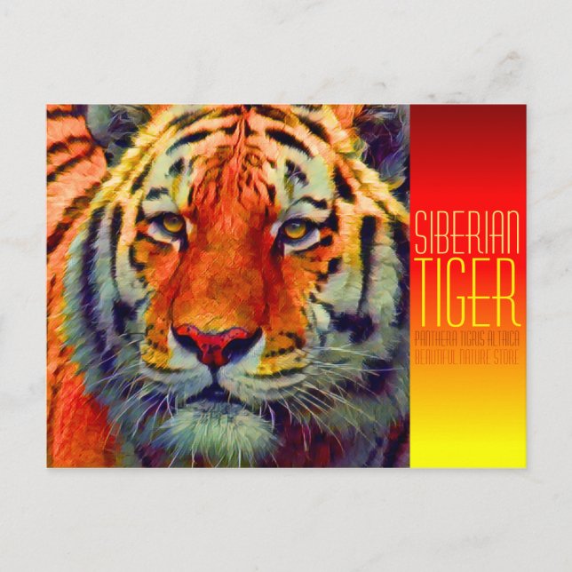 Postal Tigre siberiano [postal] (Anverso)