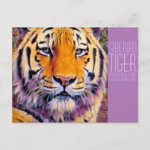 Postal Tigre siberiano [postal]