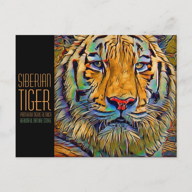 Postal Tigre siberiano [postal] (Anverso)