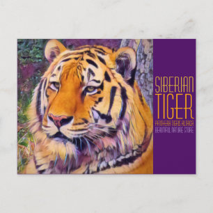 Postal Tigre siberiano [postal]