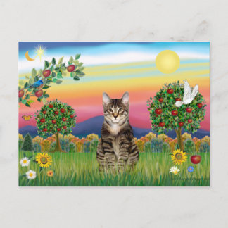 Postal Tigre Tabby Cat 1 - País brillante