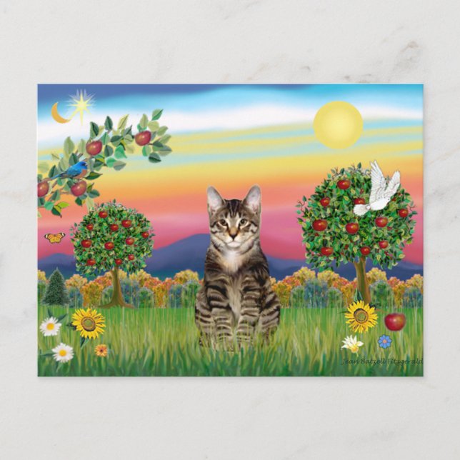 Postal Tigre Tabby Cat 1 - País brillante (Anverso)