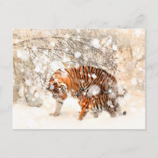 Postal Tigres de invierno