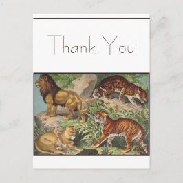 Postal Tigres de leones de gato grande, leopardos, animal