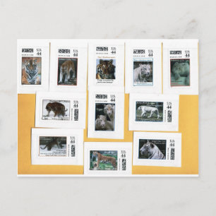 Postal Tigres de los 4 colores