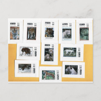 Postal Tigres de los 4 colores