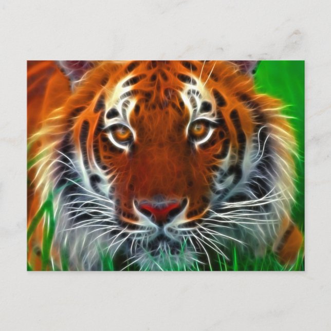 Postal Tigres de Sumatra raras en Indonesia (Anverso)