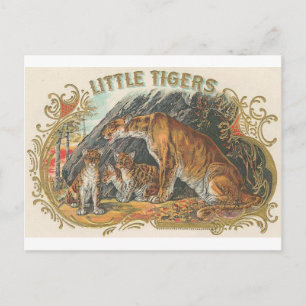 Postal Tigres pequeños de vintage