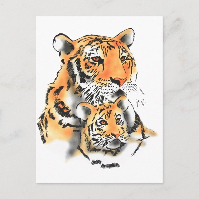 Postal Tigres y cachorros (Anverso)