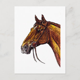 Postal Tinta de caballo de castaño