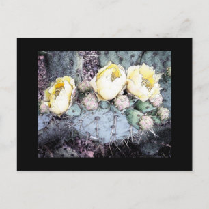 Postal Tinta digital de flor de cactus