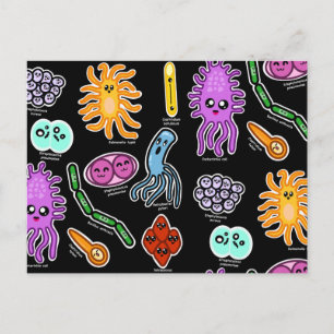Postal Tipos De Bacterias