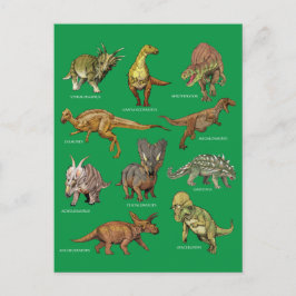 Postal Tipos de Ilustraciones dinosaurios