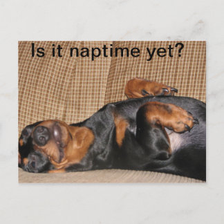 Postal Tired Dachshund