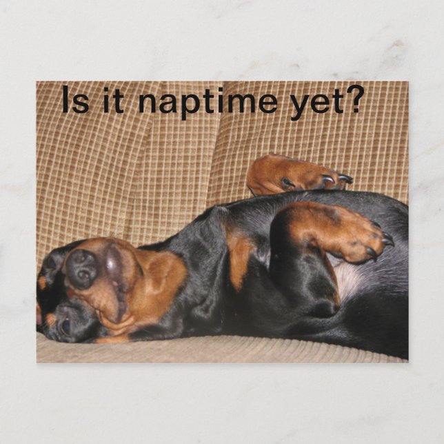 Postal Tired Dachshund (Anverso)