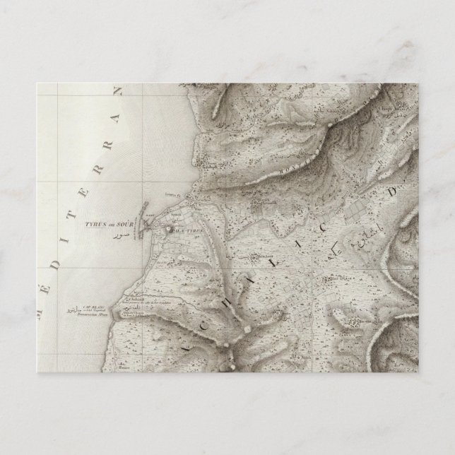 Postal Tiro, Sidón, Israel (Anverso)