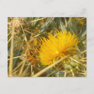 Postal Tistle de abejas y estrellas (Centaurea solstitial