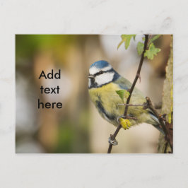 Postal Tit. azul